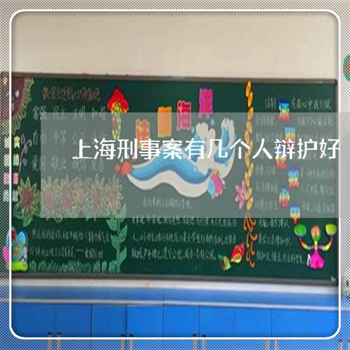 上海刑事案有几个人辩护好/2023031619472 上海刑事案有几个人辩护好/2023031619472