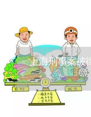 上海刑事案被律师套住/2023021151615 上海刑事案被律师套住/2023021151615