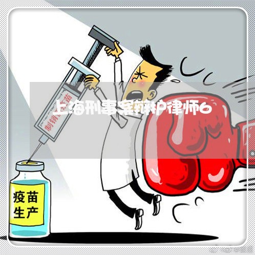 上海刑事案辩护律师6/2023021174828 上海刑事案辩护律师6/2023021174828