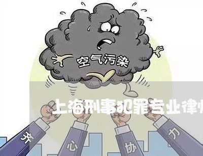 上海刑事犯罪专业律师推荐/2023033082839