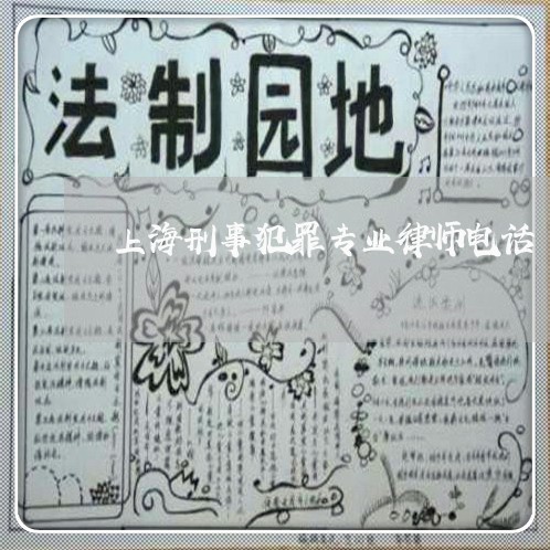 上海刑事犯罪专业律师电话/2023033093717