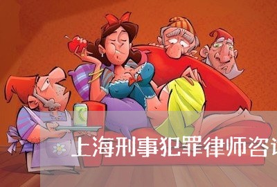 上海刑事犯罪律师咨询哪家正规/2023060399579