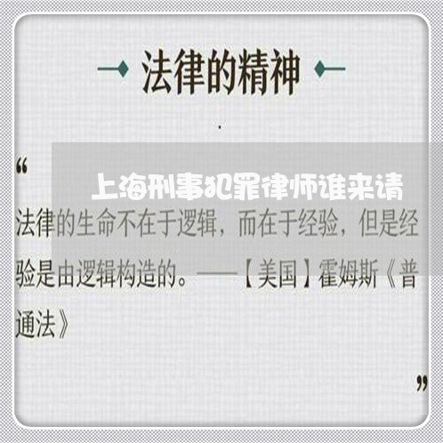 上海刑事犯罪律师谁来请/2023022716026