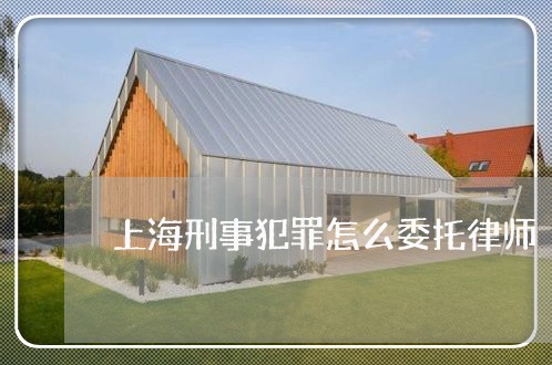 上海刑事犯罪怎么委托律师/2023031657151