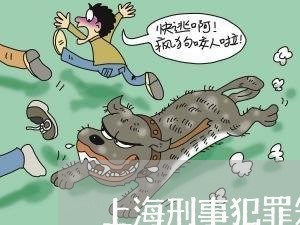 上海刑事犯罪知名律师/2023021136137 上海刑事犯罪知名律师/2023021136137