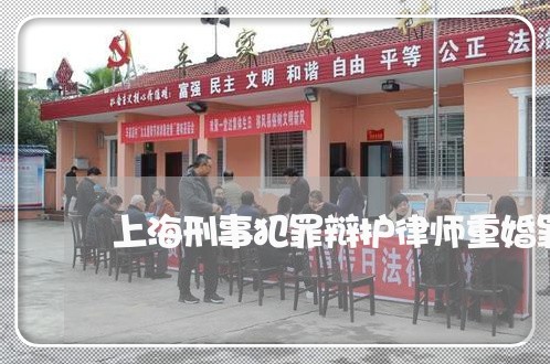 上海刑事犯罪辩护律师重婚罪/2023033060492 上海刑事犯罪辩护律师重婚罪/2023033060492