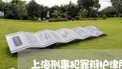 上海刑事犯罪辩护律所电话/2023031604937