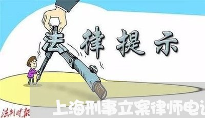 上海刑事立案律师电话/2023021115817 上海刑事立案律师电话/2023021115817