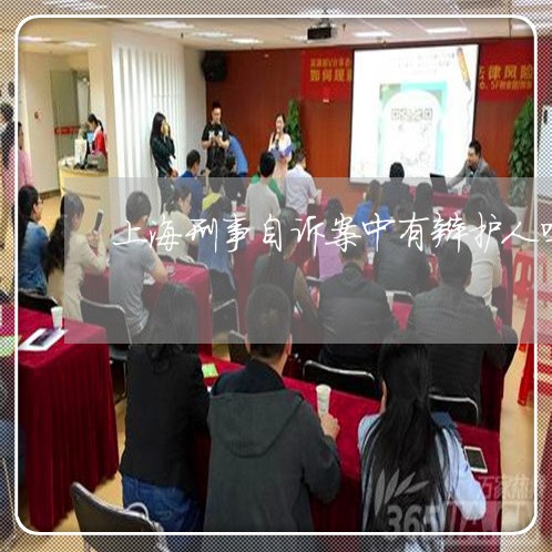 上海刑事自诉案中有辩护人吗/2023033016028