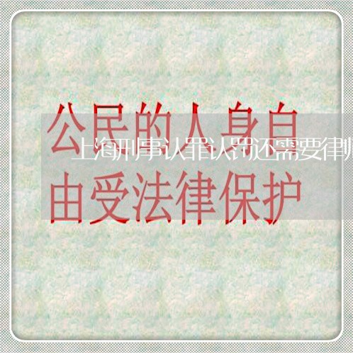 上海刑事认罪认罚还需要律师/2023033062727 上海刑事认罪认罚还需要律师/2023033062727
