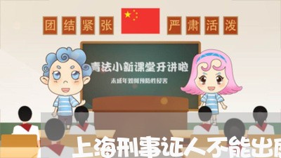 上海刑事证人不能出庭辩护词/2023033027260 上海刑事证人不能出庭辩护词/2023033027260