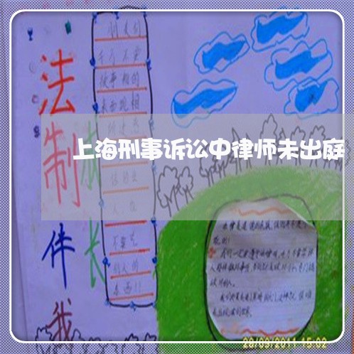 上海刑事诉讼中律师未出庭/2023031641506