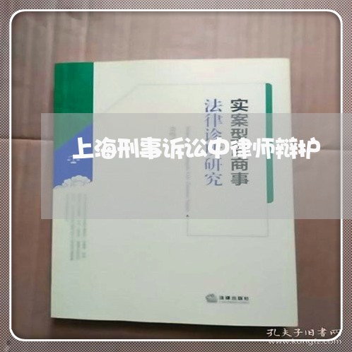 上海刑事诉讼中律师辩护/2023022760571 上海刑事诉讼中律师辩护/2023022760571