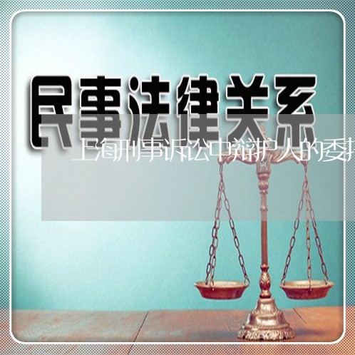 上海刑事诉讼中辩护人的委托/2023033071693