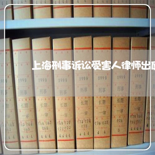上海刑事诉讼受害人律师出庭/2023033030694