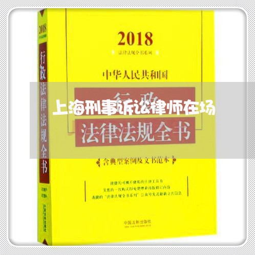 上海刑事诉讼律师在场/2023021127979 上海刑事诉讼律师在场/2023021127979