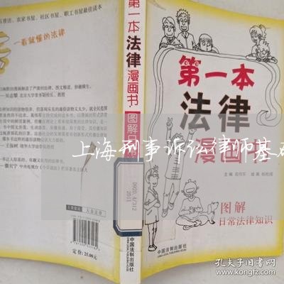 上海刑事诉讼律师基础实务/2023033076059