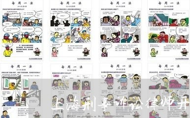 上海刑事诉讼律师开庭材料/2023031694973