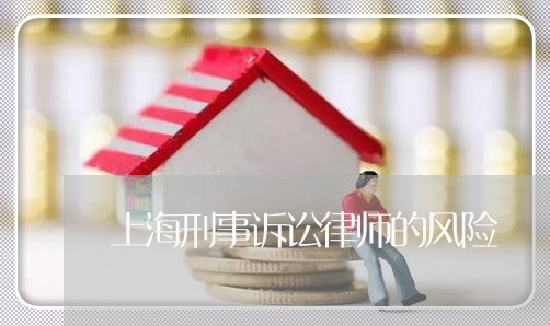 上海刑事诉讼律师的风险/2023022738462 上海刑事诉讼律师的风险/2023022738462
