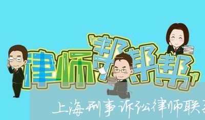上海刑事诉讼律师联系电话/2023031691624