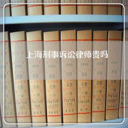 上海刑事诉讼律师贵吗/2023021183027 上海刑事诉讼律师贵吗/2023021183027