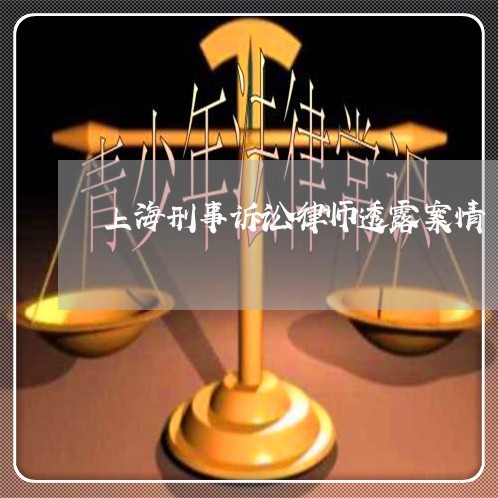 上海刑事诉讼律师透露案情/2023033096361