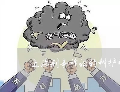 上海刑事诉讼的辩护种类/2023022704824 上海刑事诉讼的辩护种类/2023022704824