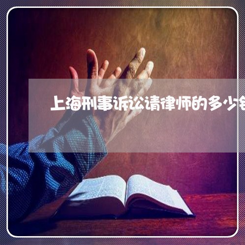 上海刑事诉讼请律师的多少钱/2023033097251