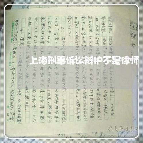 上海刑事诉讼辩护不是律师/2023033051514
