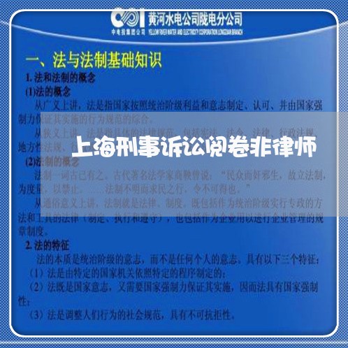 上海刑事诉讼阅卷非律师/2023022782703 上海刑事诉讼阅卷非律师/2023022782703