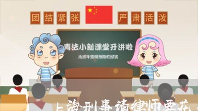 上海刑事请律师要花多少钱/2023033044060