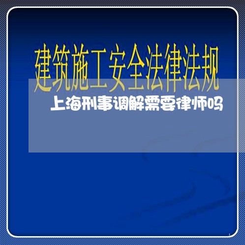 上海刑事调解需要律师吗/2023022672835