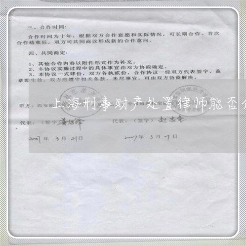 上海刑事财产处置律师能否介入/2023060339352 上海刑事财产处置律师能否介入/2023060339352