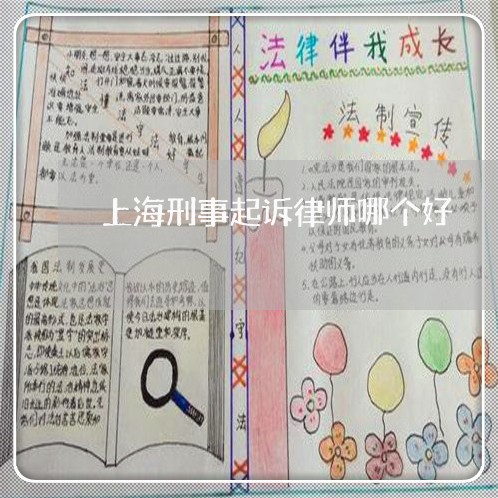 上海刑事起诉律师哪个好/2023022672817