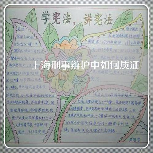 上海刑事辩护中如何质证/2023022621793
