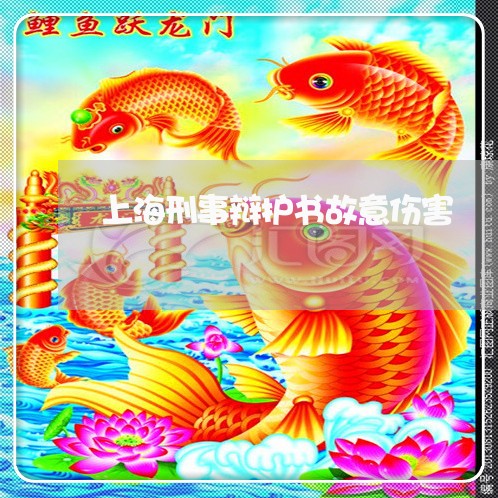 上海刑事辩护书故意伤害/2023022615026 上海刑事辩护书故意伤害/2023022615026