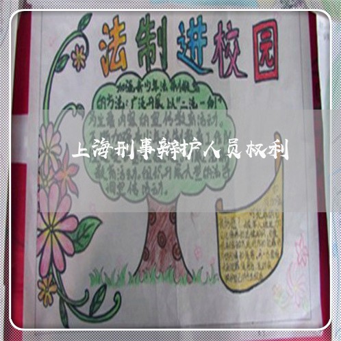 上海刑事辩护人员权利/2023021117938 上海刑事辩护人员权利/2023021117938