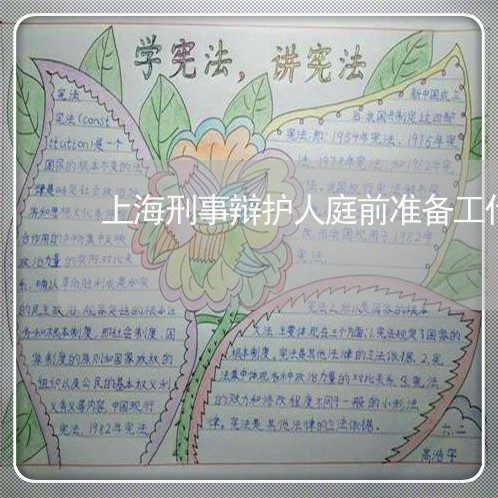 上海刑事辩护人庭前准备工作/2023033037169 上海刑事辩护人庭前准备工作/2023033037169
