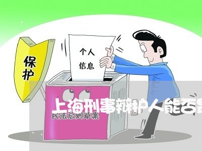 上海刑事辩护人能否是外国人/2023033039492
