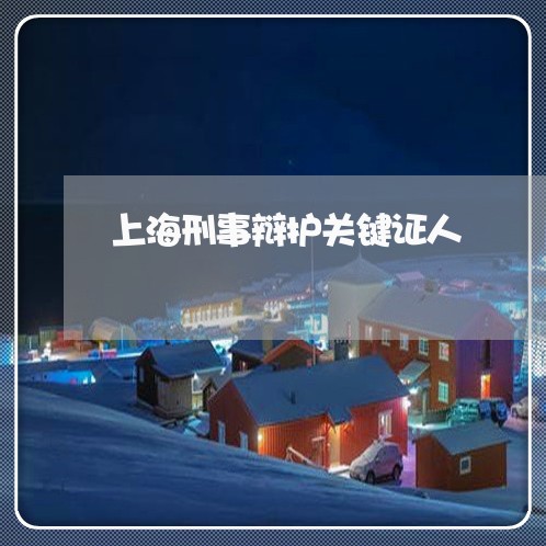 上海刑事辩护关键证人/2023021136382 上海刑事辩护关键证人/2023021136382