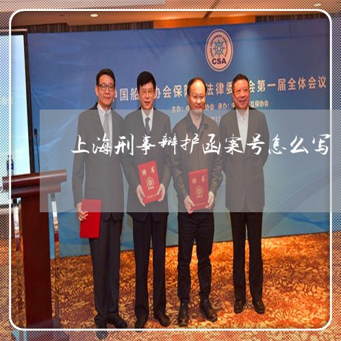 上海刑事辩护函案号怎么写/2023033003937