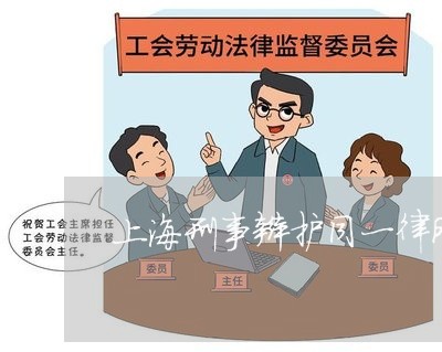 上海刑事辩护同一律所律师/2023031707968 上海刑事辩护同一律所律师/2023031707968