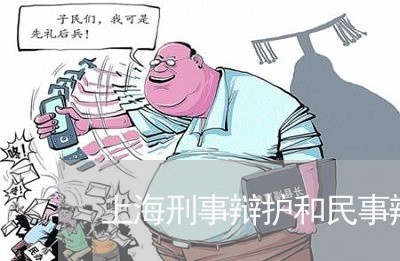上海刑事辩护和民事辩护/2023022681482