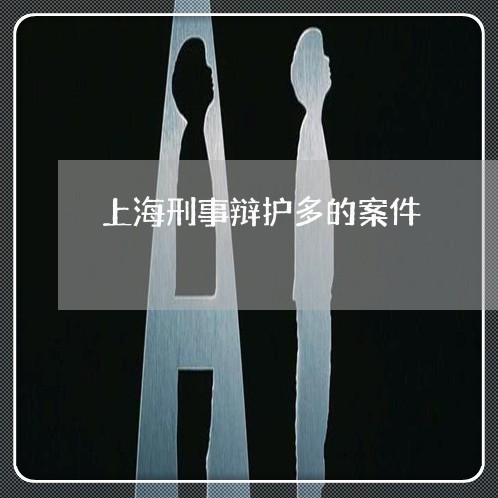 上海刑事辩护多的案件/2023021116937 上海刑事辩护多的案件/2023021116937