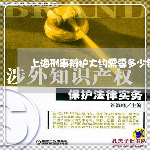 上海刑事辩护大约需要多少钱/2023033062616