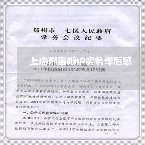 上海刑事辩护实务学后感/2023022687370 上海刑事辩护实务学后感/2023022687370