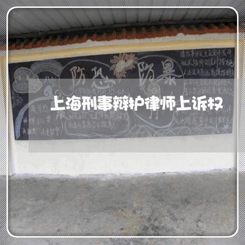 上海刑事辩护律师上诉权/2023022617068