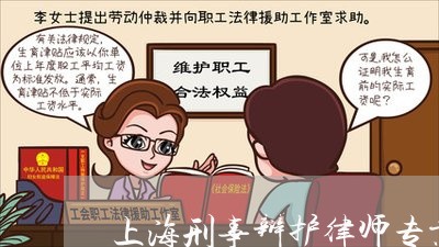 上海刑事辩护律师专业和人脉/2023032949260 上海刑事辩护律师专业和人脉/2023032949260