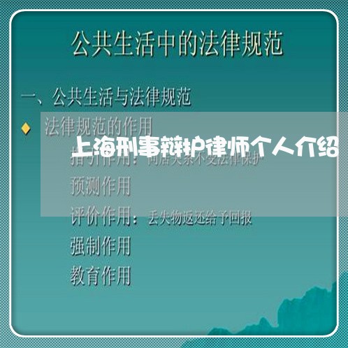 上海刑事辩护律师个人介绍/2023031520382 上海刑事辩护律师个人介绍/2023031520382
