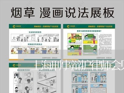 上海刑事辩护律师会见嫌疑人/2023032939059